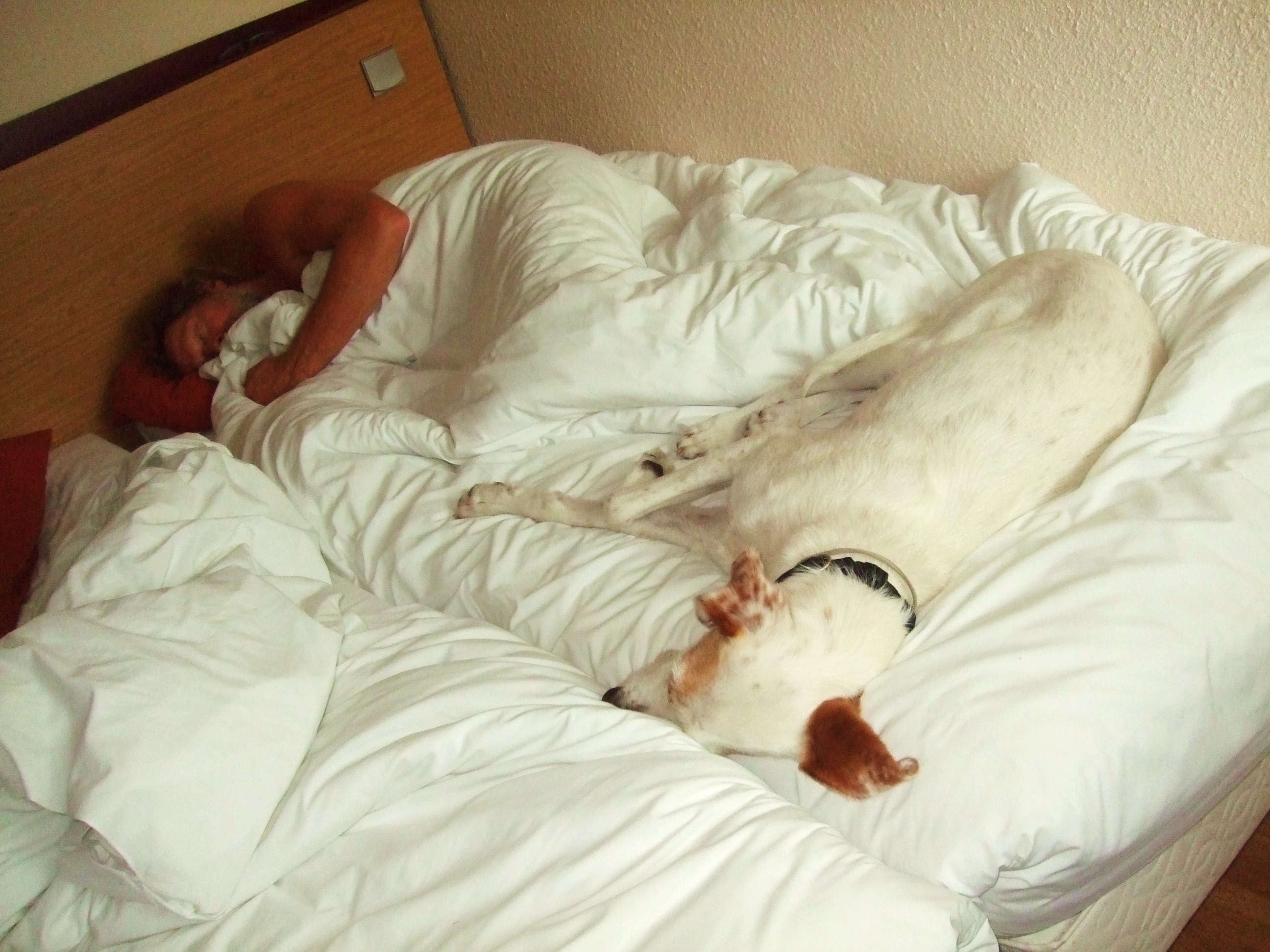 Na een maand kamperen weer een heerlijk schoon bed!